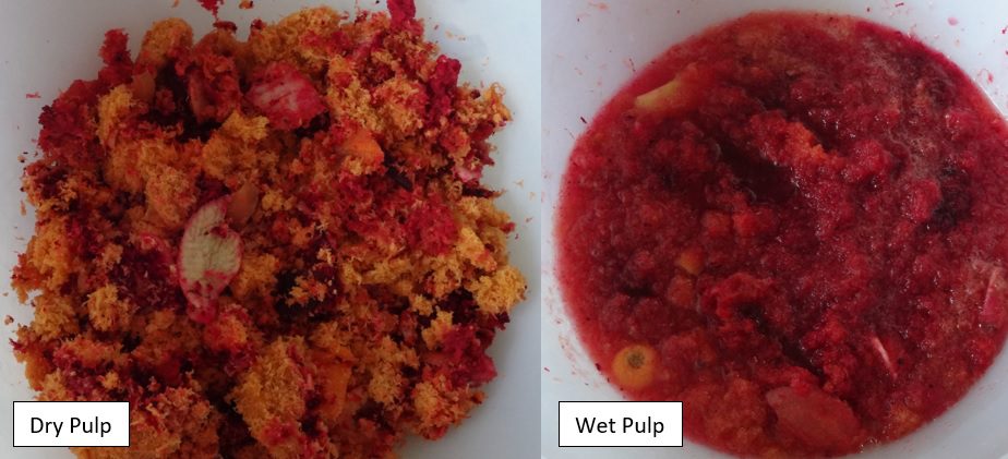Collecting_wet_and_dry_fruit_and_veg_juiced_pulp